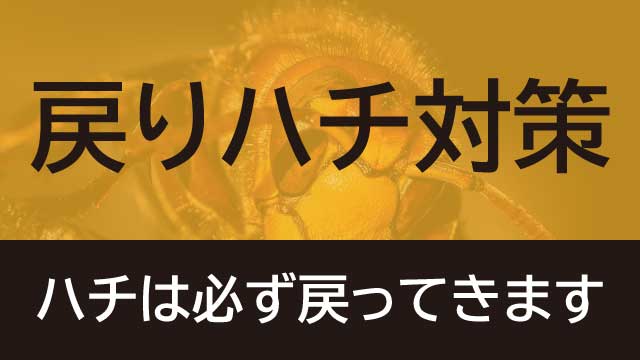 戻りハチ対策