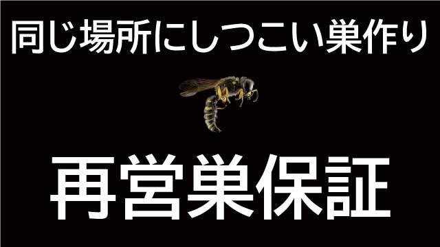 再営巣保証