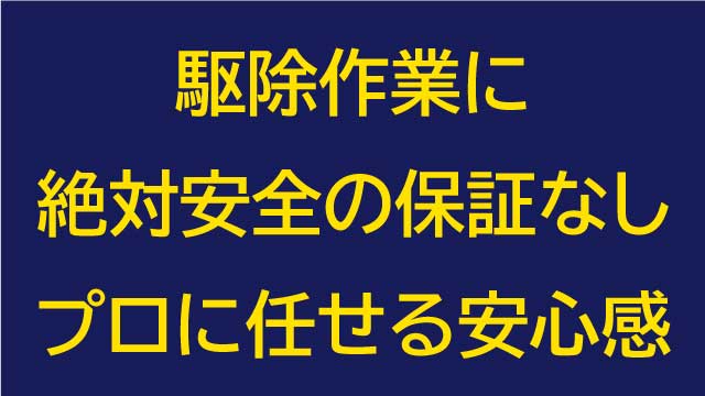 駆除作業に絶対安全の保証なし
プロに任せる安心感
