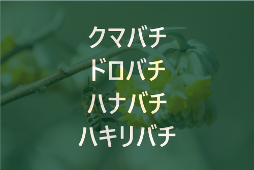 その他のハチ